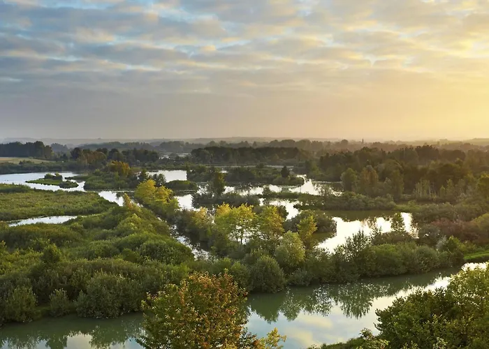 Lycot * Dompierre-Becquincourt